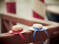 ����ɻҵ�ר��