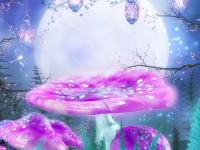 �����ǹ�è��ר��