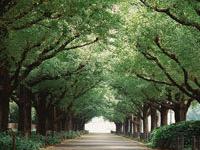 进入醉酒一杯的专栏