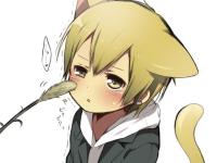 ����ĩ�۵�ר��