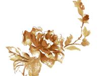 ����ˮ����ɢ��ר��