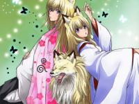 �������ߵ�ר��