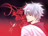 ������ʯ��ר��