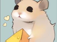 �������̵�ר��