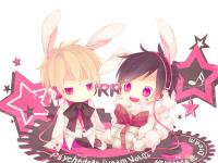 ����ľ���ǵ�ר��