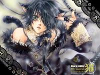 ������ŵ����ר��