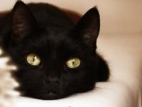 ������������ר��