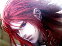 ����Ҷ�����ר��