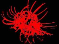 �����ˮ��ר��