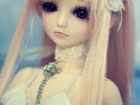 ������δ����ר��