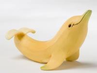 �����Һ��ҵ����ǵ�ר��