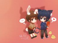 ����ͫ��ҹ��ר��