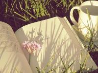 ���뽿�ݵ�ר��