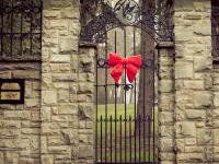 ��������ר��