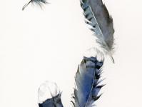 �����ɫƿ����ר��