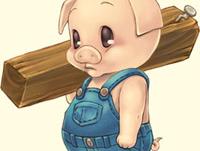 ����С���̵�ר��