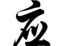 ����Ӧʱ��ר��