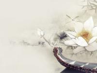 �����ͽ��ר��