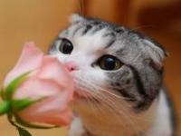 進入深海魚怕黑的專欄