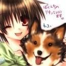 进入免费的专栏