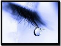 ���������ר��