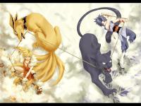 �������ĵ�ר��