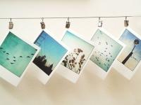 ����ľ��ĭ��ר��