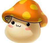 ����ī��������ר��