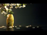 ������Ǯ��ר��