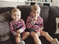 ����Genie��ר��