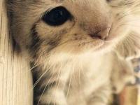 ����Emmas�����ר��