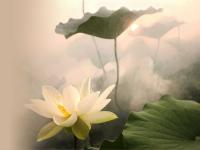 ����īӣ��ר��