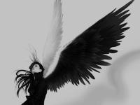 �����ɵ���������ר��