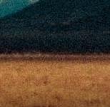 �������������ר��