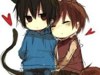 ���������ר��