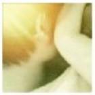 �����������ר��