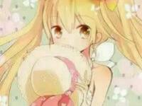 ��������µ�ר��
