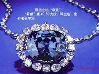 进入郑紫梦的专栏