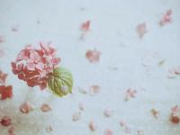 ����demonr��ר��