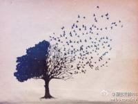 进入花吃了Monster的专栏