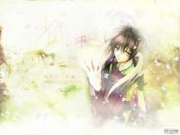 ������������޵�ר��