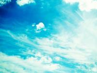 ������Ѿ���ר��