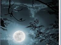 �����������¾������ר��