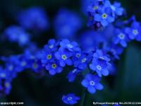 �������ί����ר��