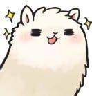 进入苏菲的抉择的专栏