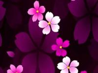 ����ǧҹ�@��ר��