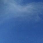 �����������ר��