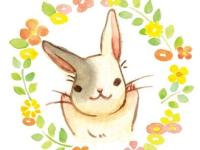 �������������ר��