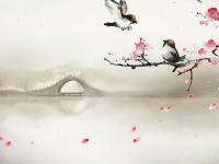 ����ĺ�õ�ר��