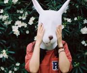 ������������ר��